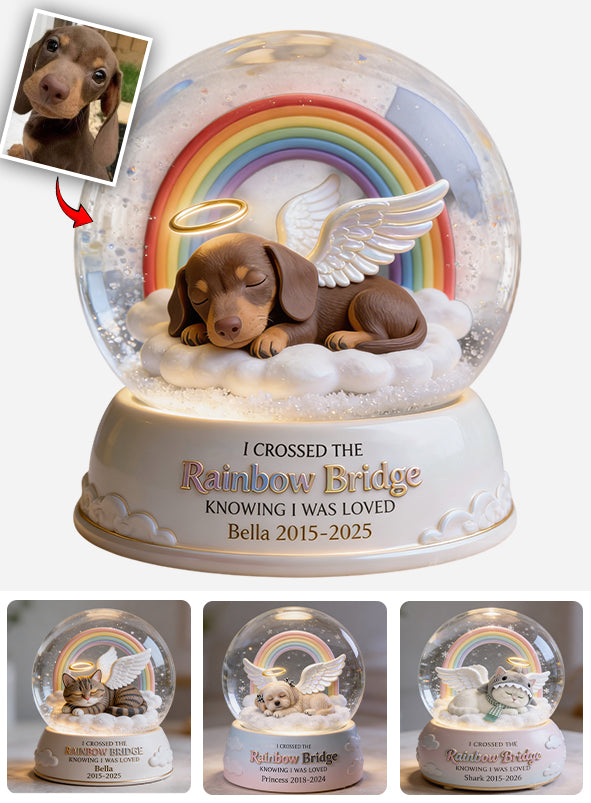 Pet Memorial Custom From Any Photo - Personalized Dog Custom Shaped Acrylic Plaque