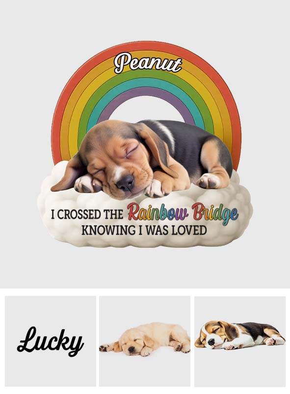 Photo personnalisée « À jamais dans mon cœur » - Plaque acrylique personnalisée pour chien.