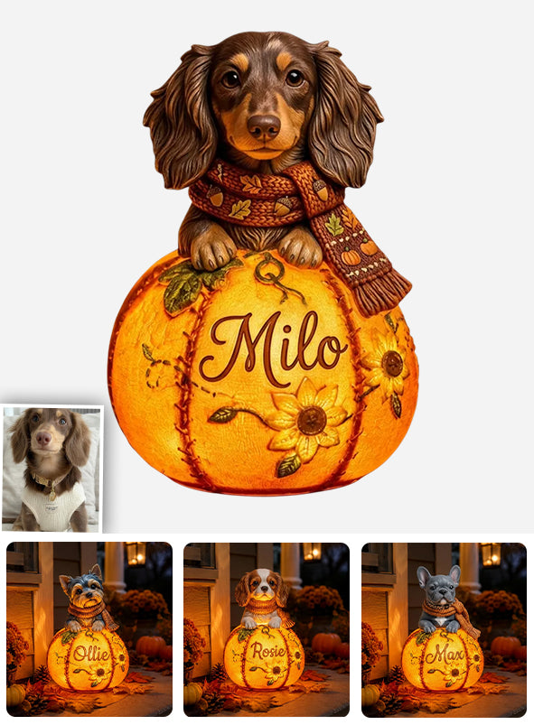 Fall Season Cute Pets - Personalized Dog Solar Acrylic Light