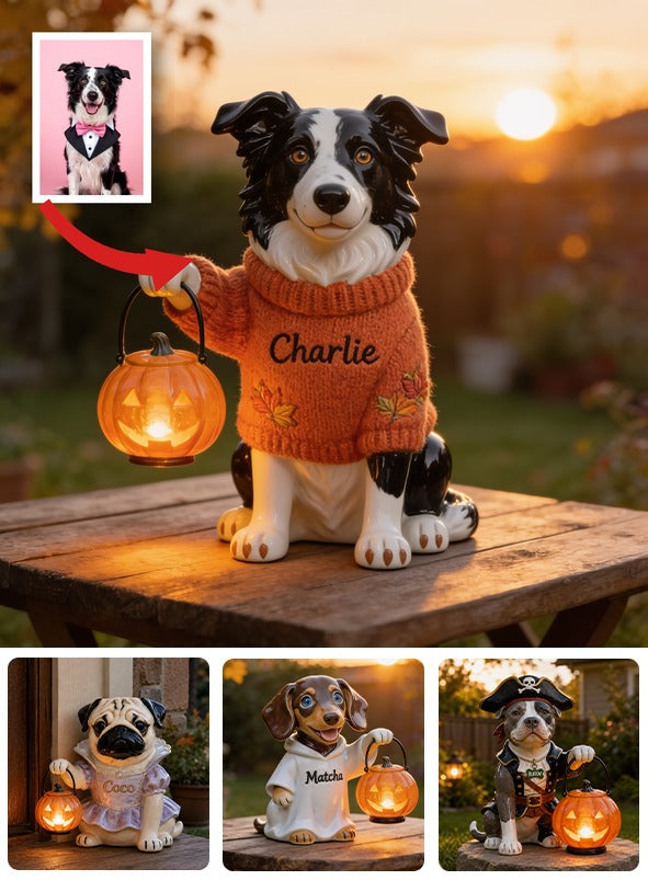 Personalized Fall Border Collie Solar Acrylic Light Garden Decor