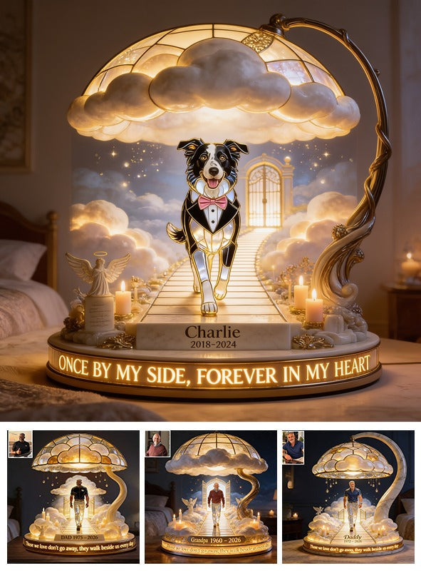 Personalized Memorial Border Collie Acrylic LED Night Light Pet Loss Gift