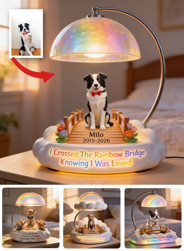 J'ai traversé le pont de l'arc-en-ciel - Lampe de nuit LED acrylique personnalisée Border Collie noir et blanc