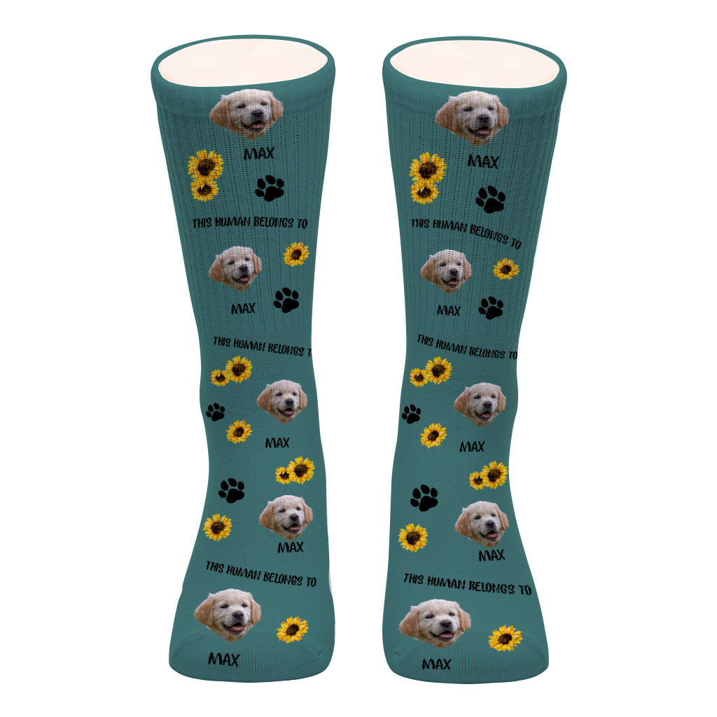 Ce humain appartient à - Cadeau pour amoureux des chats - Chaussettes personnalisées