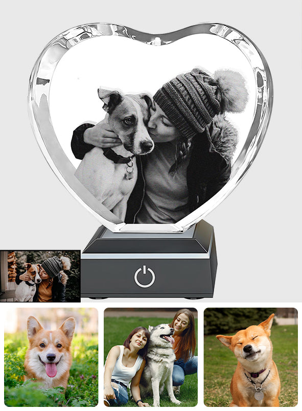In Loving Memory - Gift for dog lovers, cat lover - Personalized Laser Engraving 3D Heart Shaped Crystal Lamp