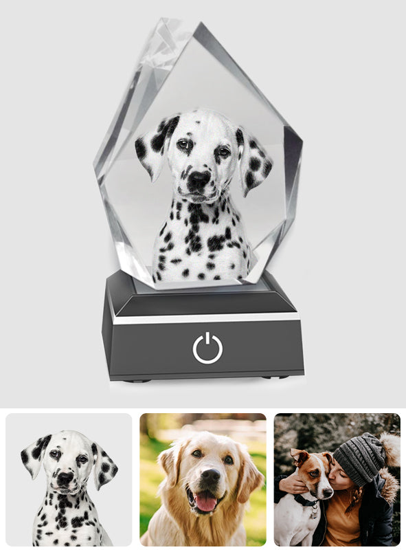 Lampe en cristal 3D en forme d'iceberg avec gravure laser personnalisée pour chien