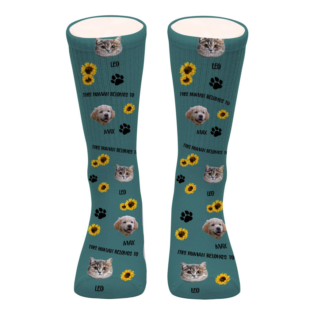 Ce humain appartient à - Cadeau pour amoureux des chats - Chaussettes personnalisées