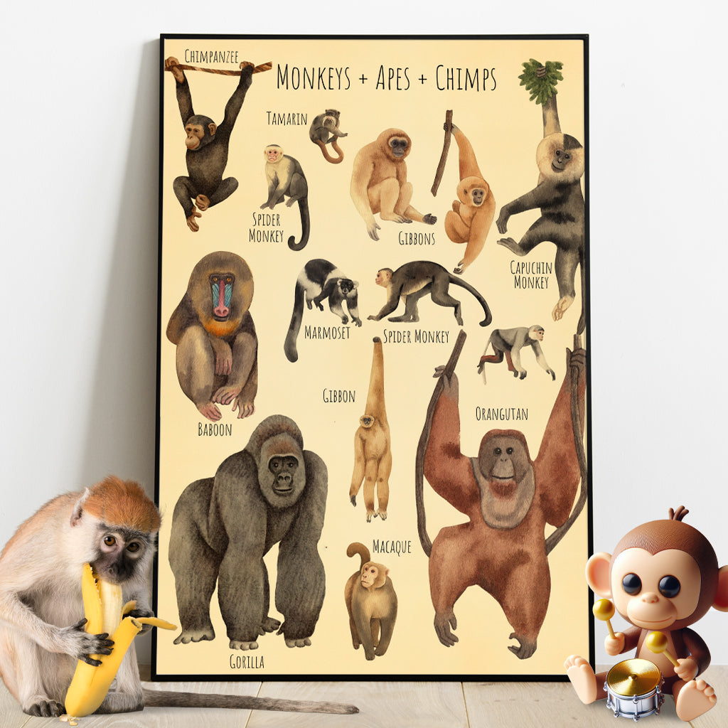 Une magnifique sélection - Toiles et affiches