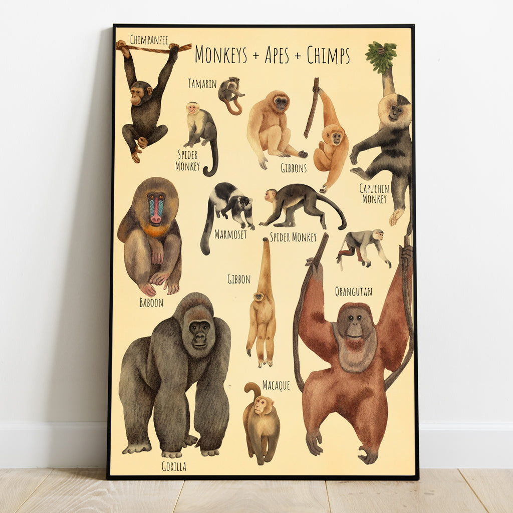 Une magnifique sélection - Toiles et affiches