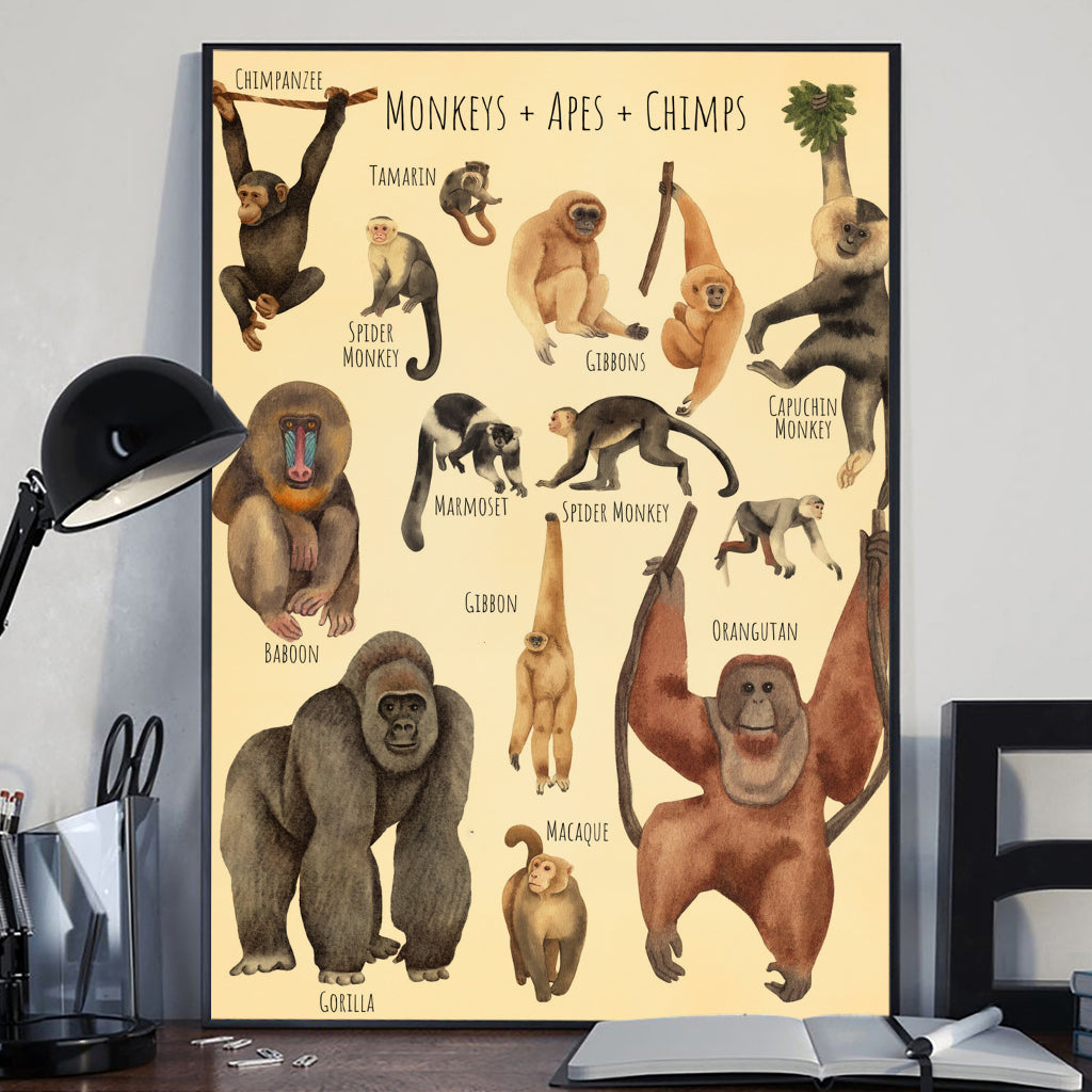 Une magnifique sélection - Toiles et affiches