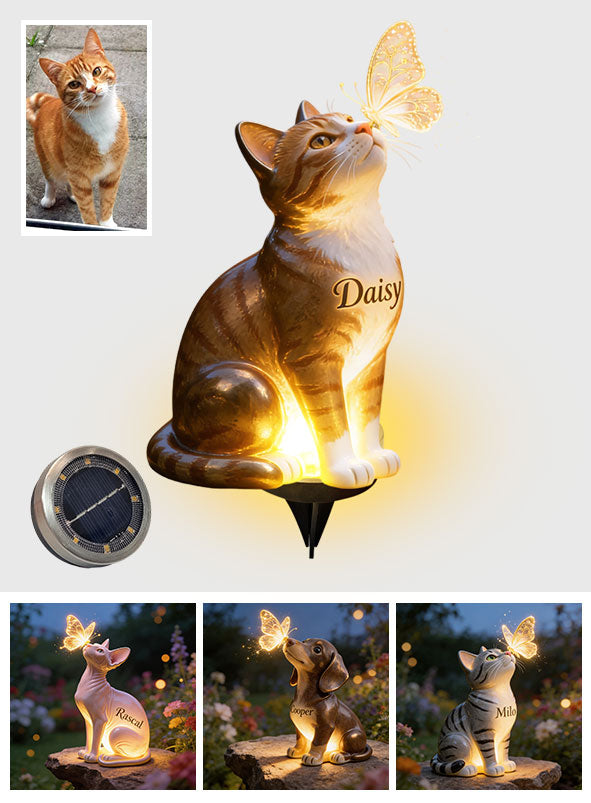 Chat Et Papillon - Lampe Solaire Acrylique Personnalisée