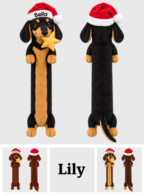 Love Dachshunds - Personalized Dachshund Posable Plush Doll