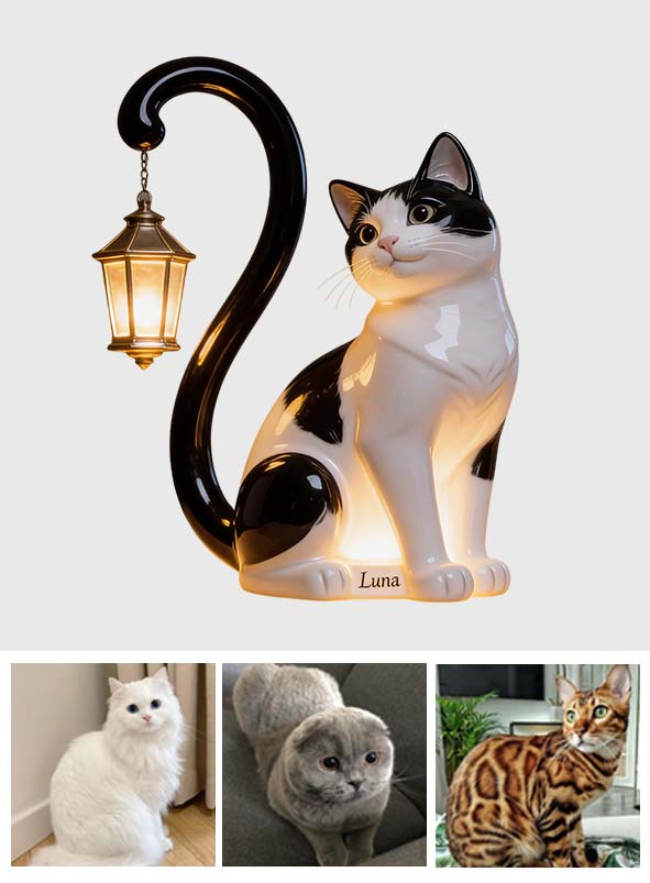 Custom Any Pet Photo - Personalized Cat Acrylic LED Night Light