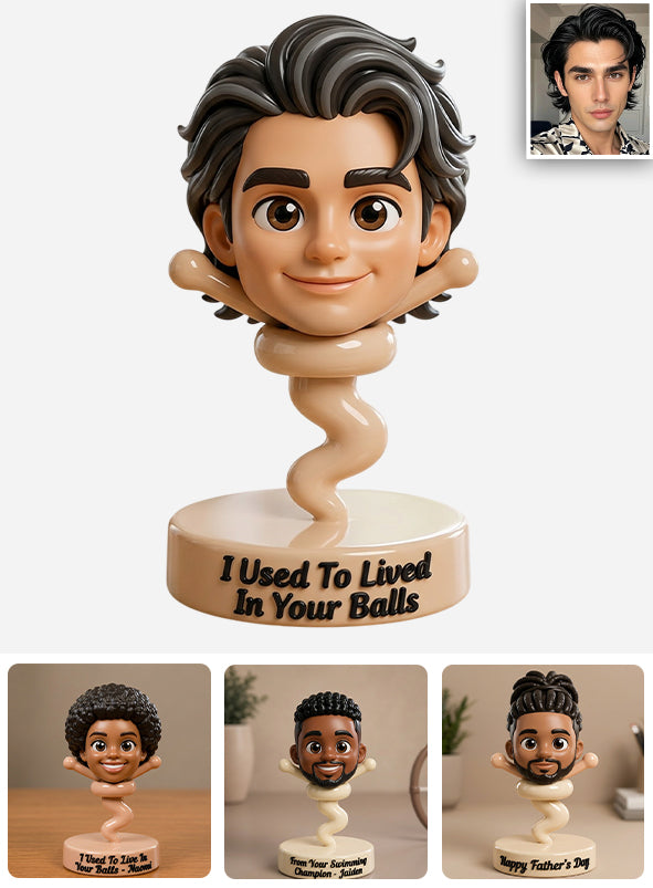 Toute photo utilisée pour vivre dans vos boules Cadeau amusant pour papa - Figurine 3D personnalisée