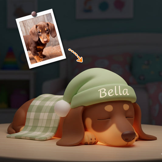 Veilleuse LED personnalisée pour chien en acrylique, à partir de vos photos - Personnalisation possible à partir de vos photos