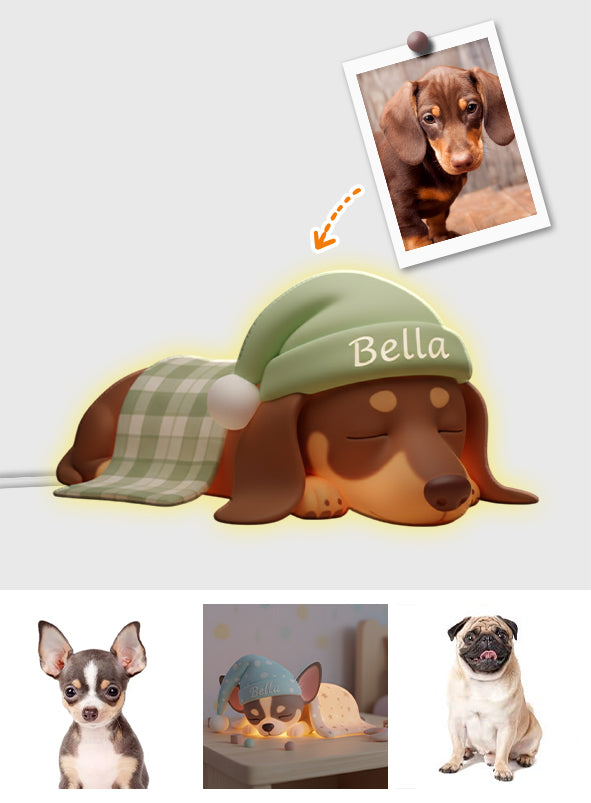 Veilleuse LED personnalisée pour chien en acrylique, à partir de vos photos - Personnalisation possible à partir de vos photos