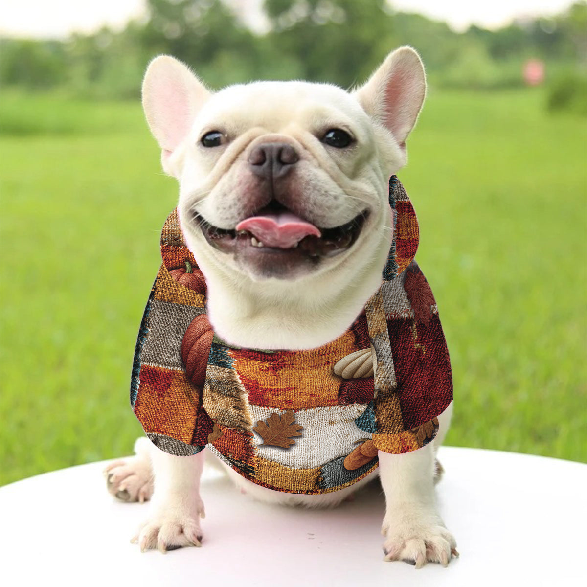 C'est la saison - Sweat à capuche personnalisé pour chien