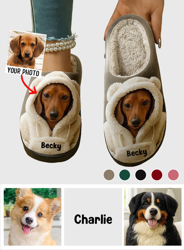Dog In Winter Hoodie - Personalized Dog Slippers