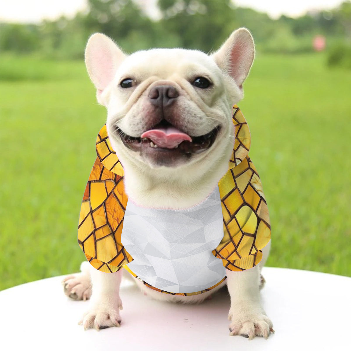 Hello Fall - Personalized Dog Pet Hoodie