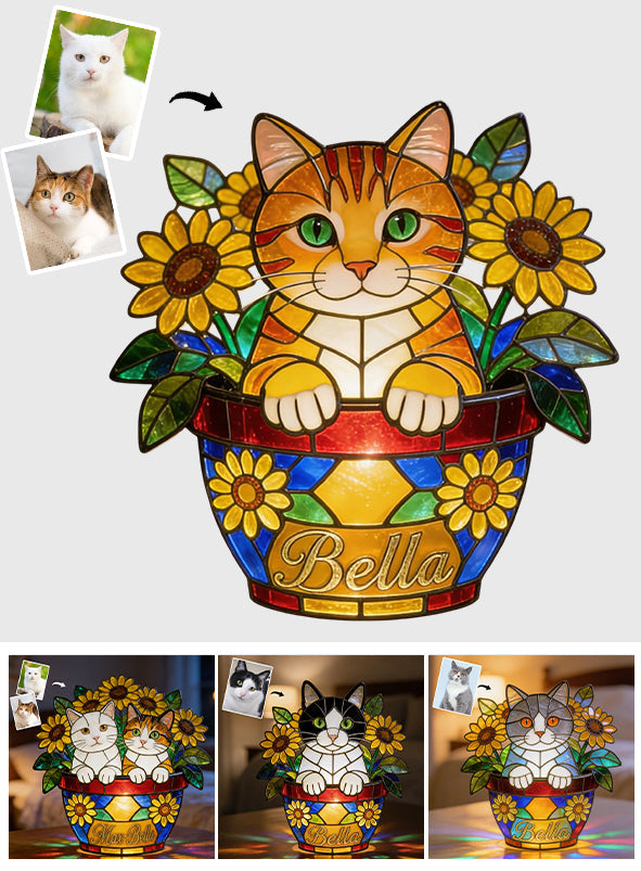 Cute Pets And Flowers - Personalized Cat Acrylic LED Night Light