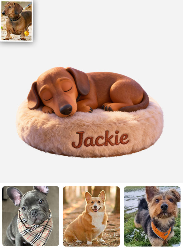 Plaque personnalisée pour tableau de bord de voiture « Chien endormi paisible »