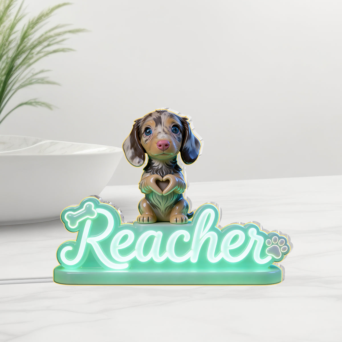 Photo de n'importe quel animal personnalisée - Lampe de nuit LED acrylique