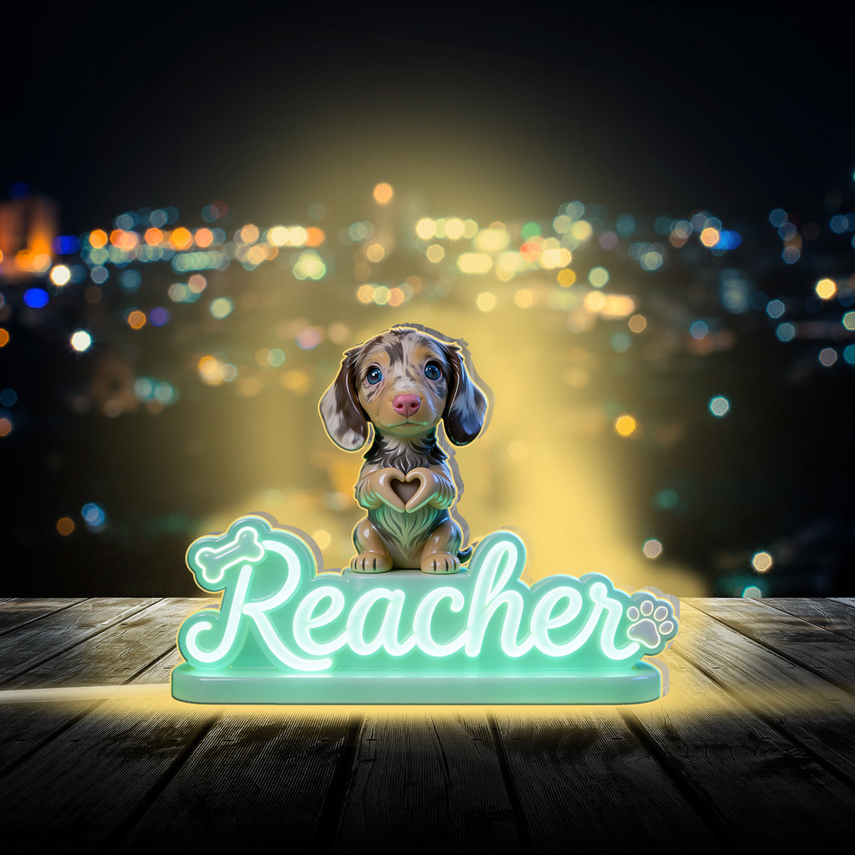 Photo de n'importe quel animal personnalisée - Lampe de nuit LED acrylique