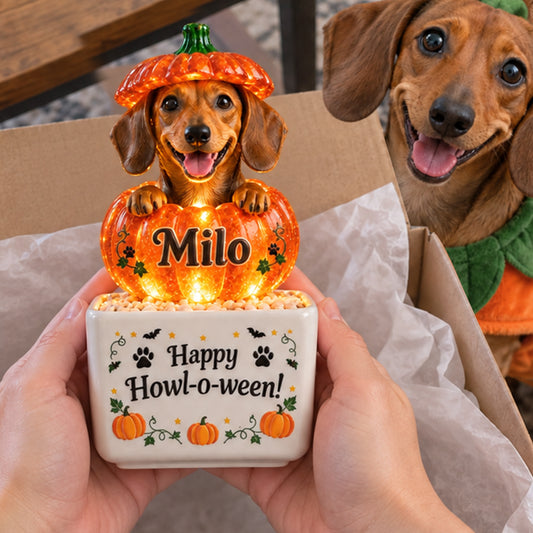 Décor d'Halloween pour Animaux - Pot en Céramique LED Personnalisé pour Chien