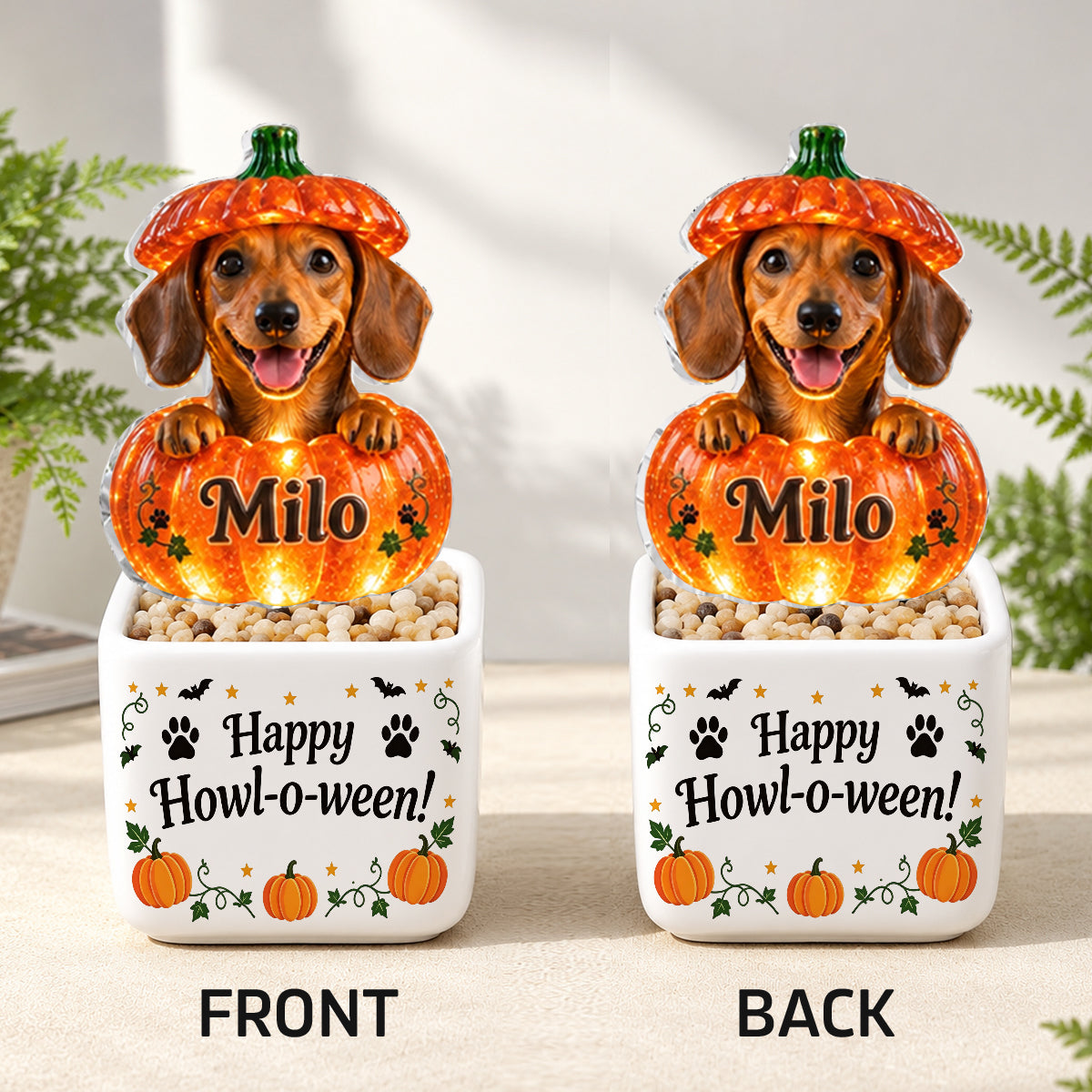 Décor d'Halloween pour Animaux - Pot en Céramique LED Personnalisé pour Chien