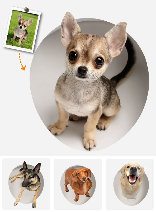 Votre chien qui jette un coup d'œil amusant - Autocollant personnalisé pour chien