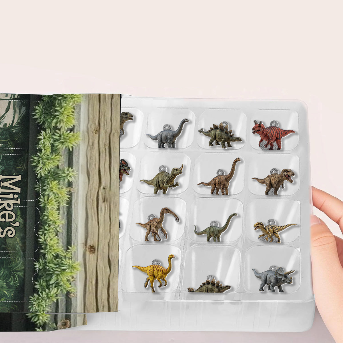 24 Dinosaurs Species Gift For Boys - Personalized Kid Advent Calendar With Ornaments