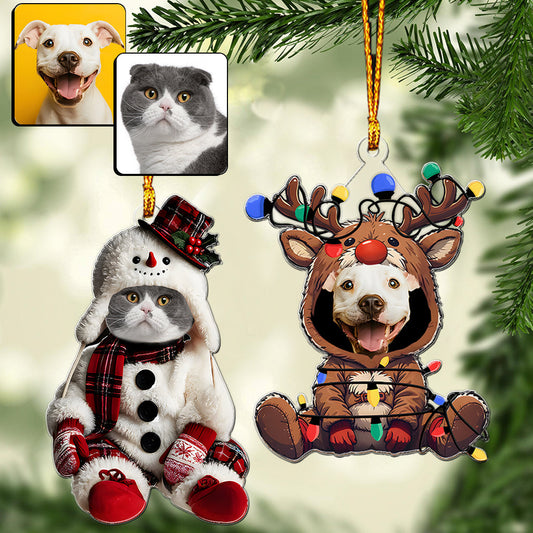 Voici à quoi ressemblent mes enfants - Ornement personnalisé en forme de chat