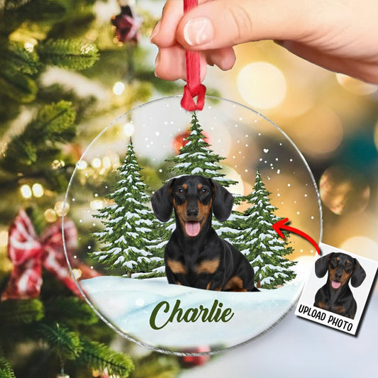 Joyeux Noël - Ornement transparent personnalisé pour chien