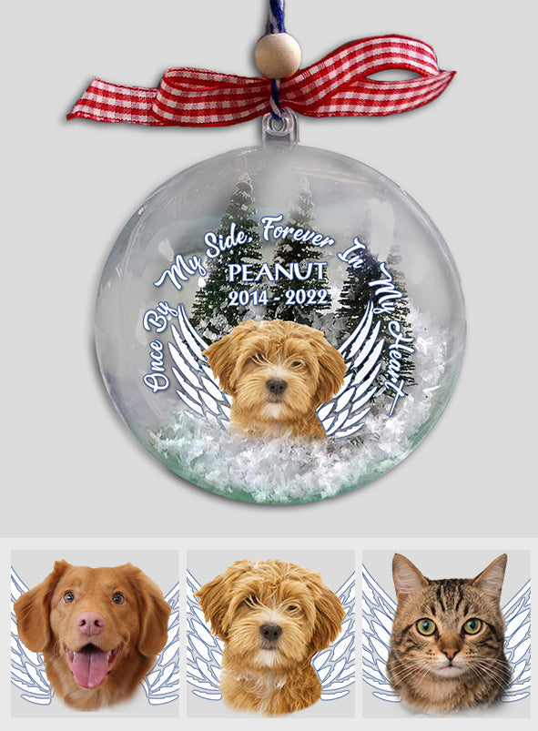 À jamais dans mon cœur - Cadeau pour les amoureux des chiens et des chats - Boule à neige personnalisée