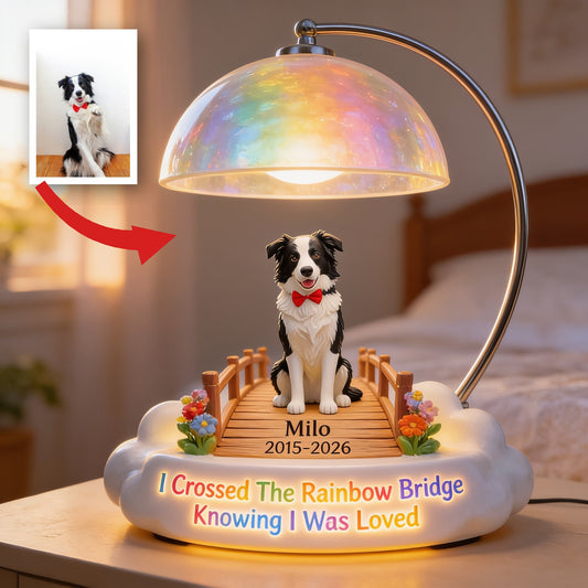 J'ai Traversé Le Pont Arc-en-Ciel - Lampe De Nuit LED Acrylique Personnalisée Pour Border Collie Noir Et Blanc