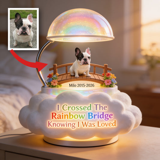 J'ai Traversé Le Pont Arc-en-Ciel - Lampe de Nuit LED Acrylique Personnalisée pour Bouledogue Français