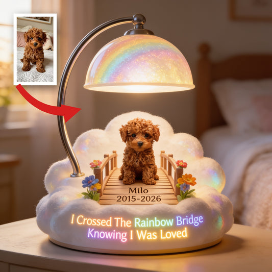J'ai traversé le Pont de l'Arc-en-Ciel - Lampe de Nuit LED Acrylique Personnalisée pour Caniche Toy Marron