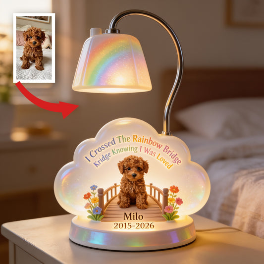Lampe de Nuit LED Acrylique Personnalisée Poodle Marron, Souvenir de Perte d'Animal