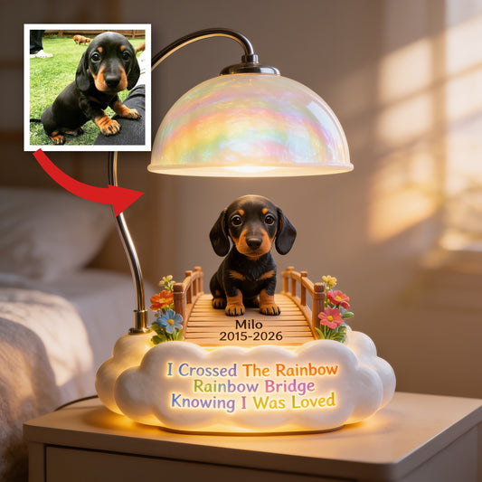 Lampe de Nuit LED Acrylique Personnalisée pour Teckel Noir et Feu - Souvenir du Pont de l'Arc-en-Ciel