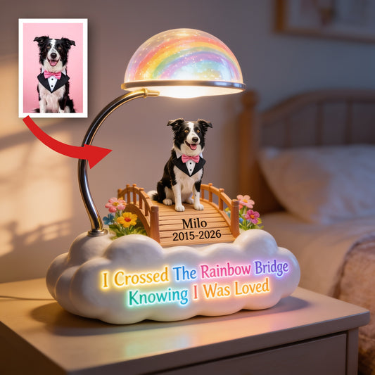 Lampe de Nuit LED Acrylique Personnalisée en Mémoire de Border Collie, Cadeau Souvenir de Perte de Chien