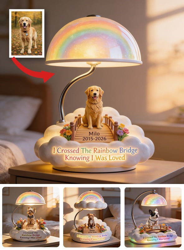Personalized Rainbow Bridge Border Collie Memorial Acrylic LED Night Light, Custom Dog Loss Keepsake Gift