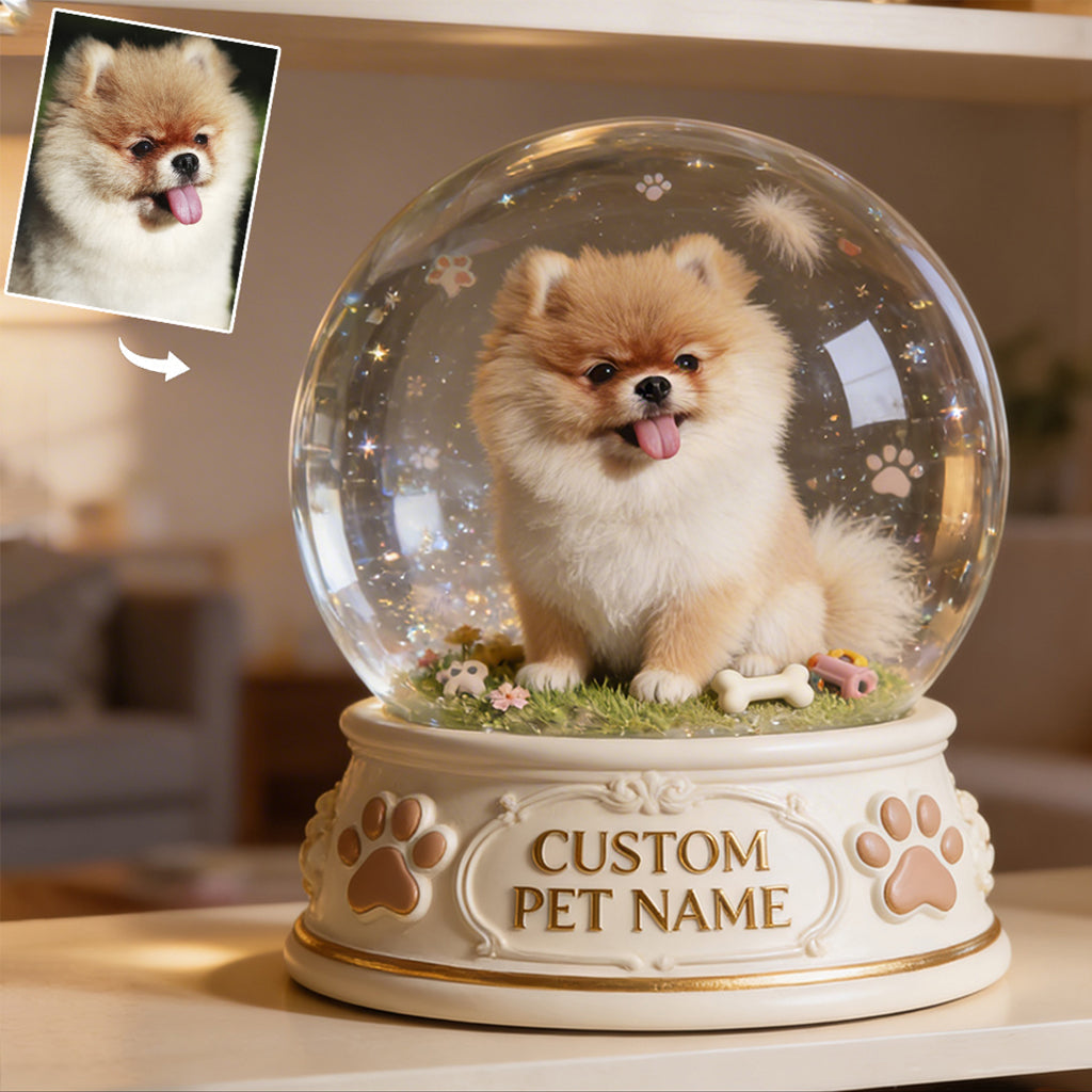 Personalized Black and White Border Collie Snow Globe Table Decor Pet Lover Gift