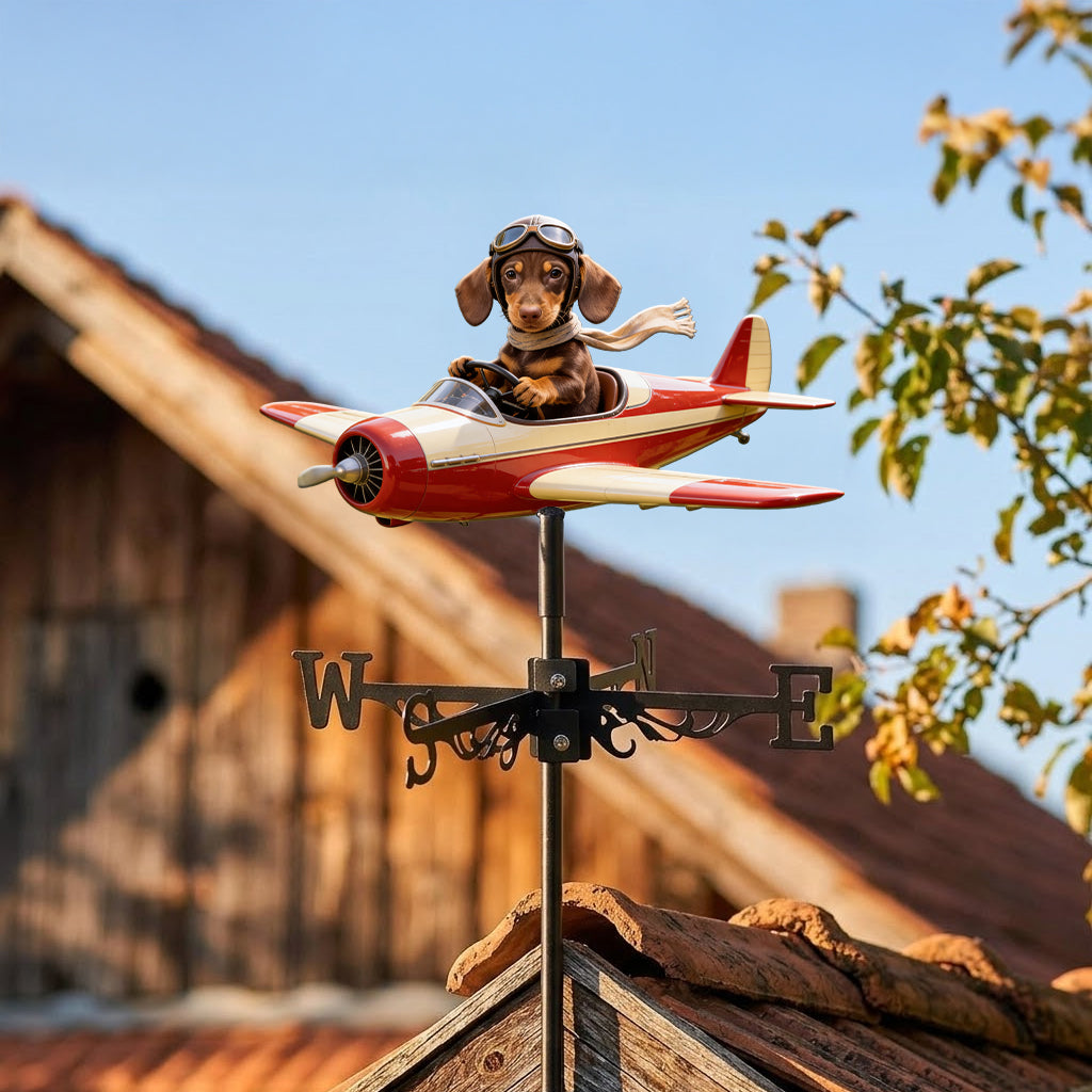 Custom Photo Border Collie Pilot Airplane Weather Vane, Garden Pet Lover Gift