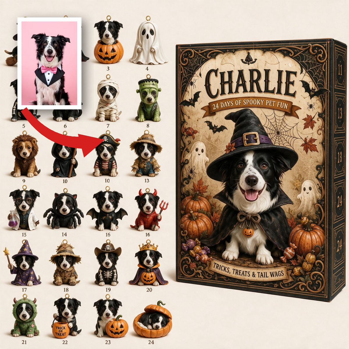Personalized Halloween Black and White Border Collie Advent Calendar Mini Ornament Gift