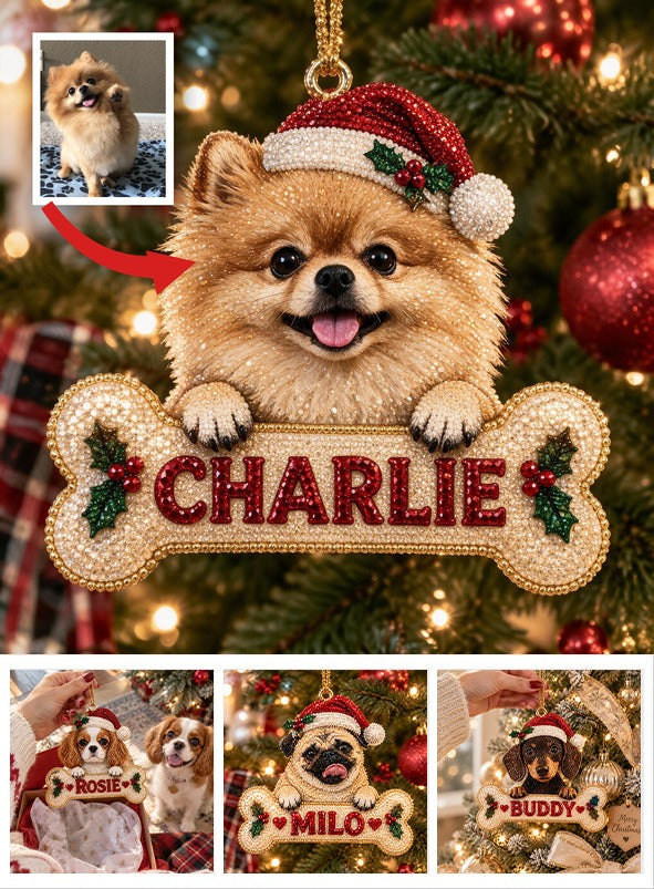 Personalized Christmas Fluffy Golden Tan Pomeranian Diamond Painting Ornament Kit