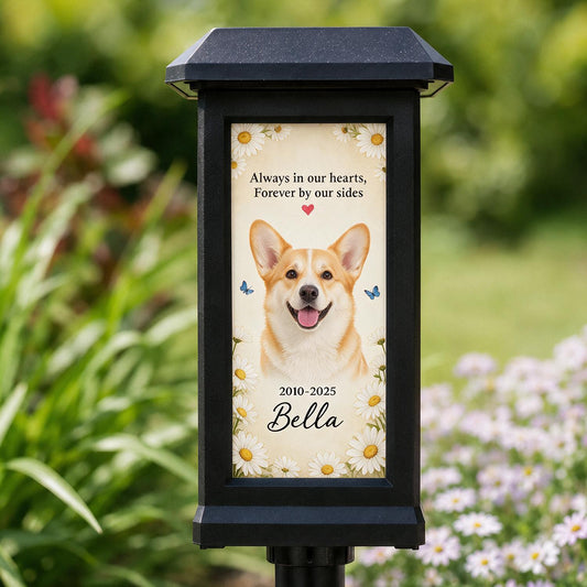 Lanterne Solaire Personnalisée en Mémoire d'Animal - Cadeau de Sympathie pour Perte d'un Animal Bien-Aimé