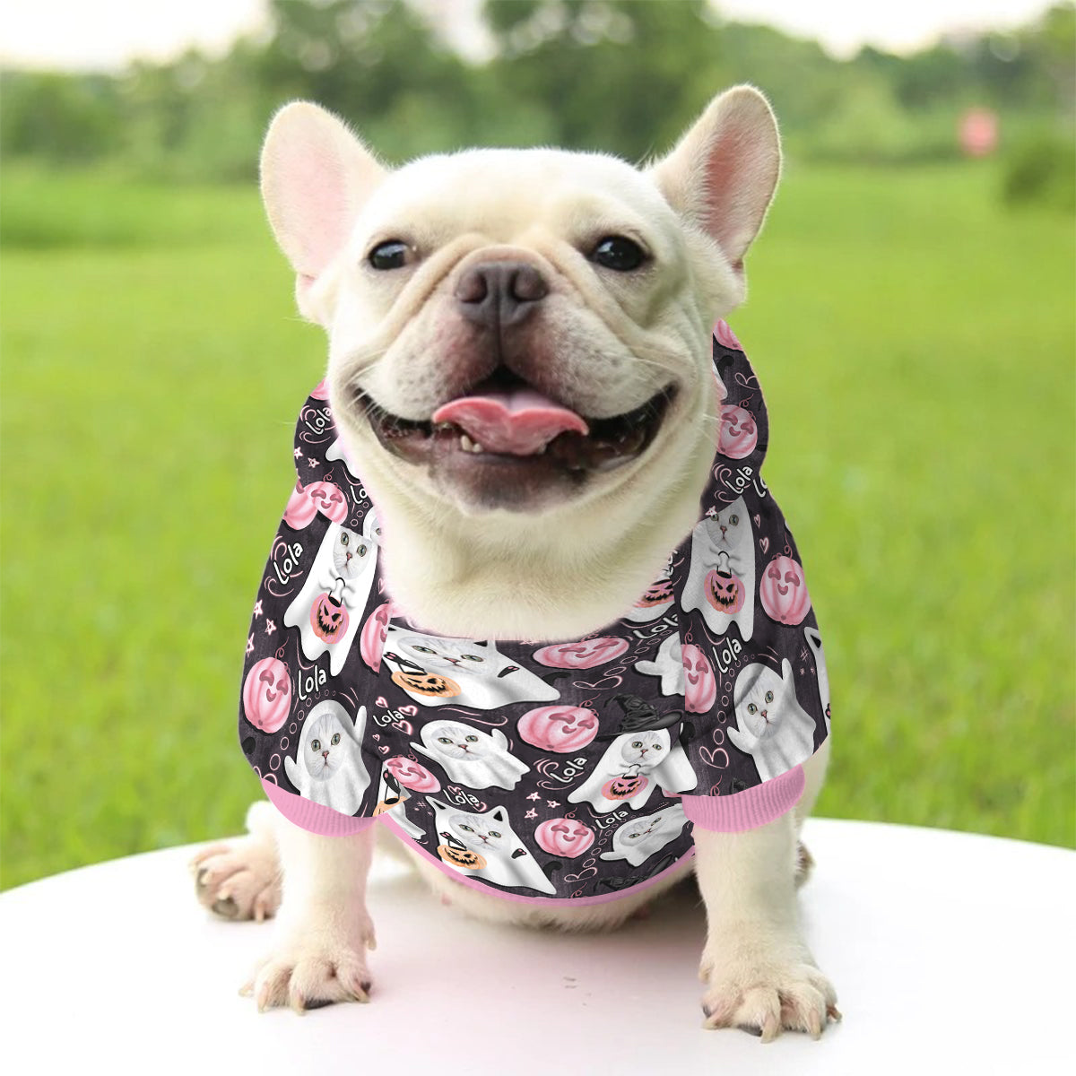 Sweat à capuche personnalisé pour chien et chat fantôme mignon d'Halloween