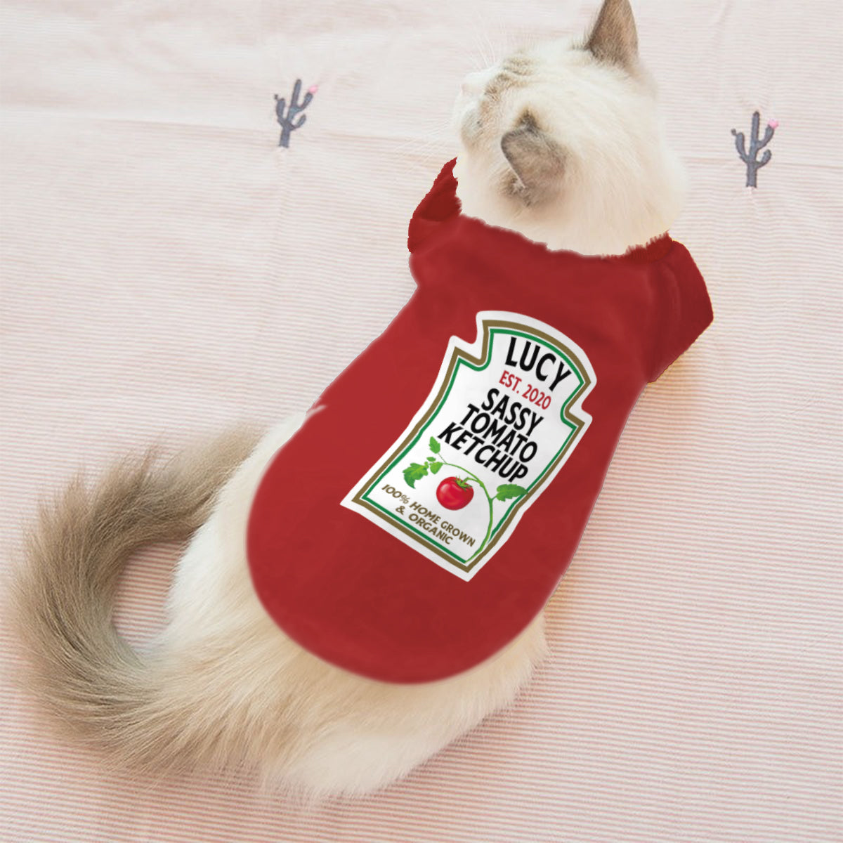 T-shirt personnalisé pour chien « Ketchup épicé et moutarde piquante »