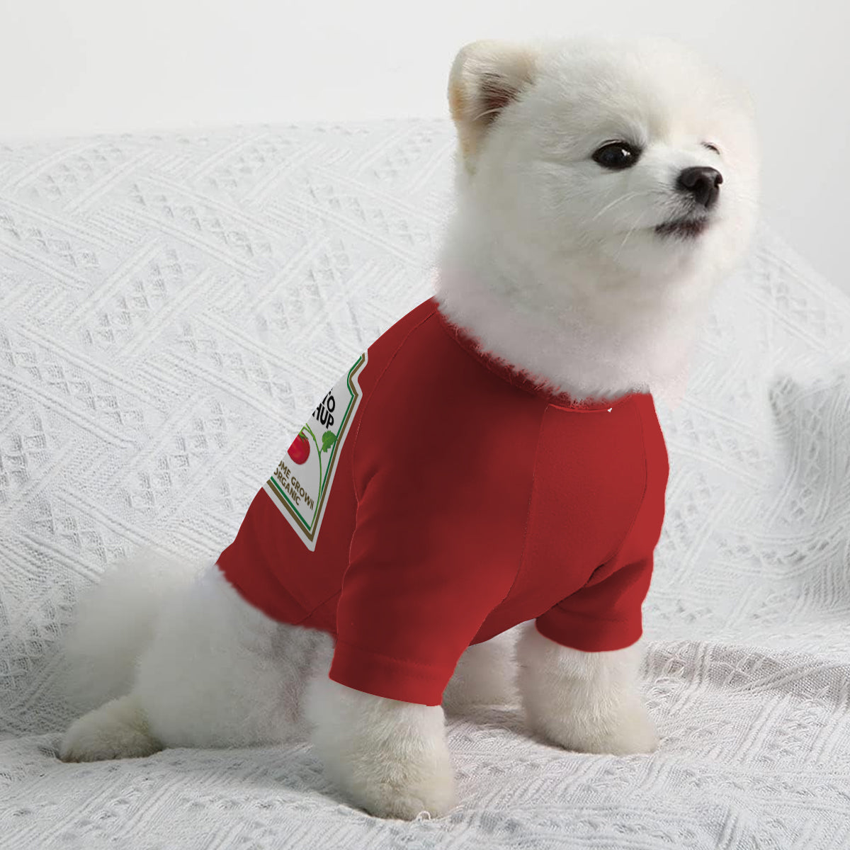 T-shirt personnalisé pour chien « Ketchup épicé et moutarde piquante »