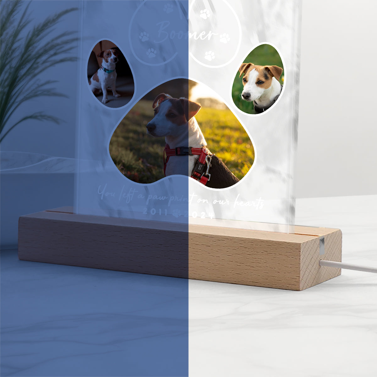 Tu as laissé une empreinte de patte - Veilleuse LED personnalisée en forme de chien