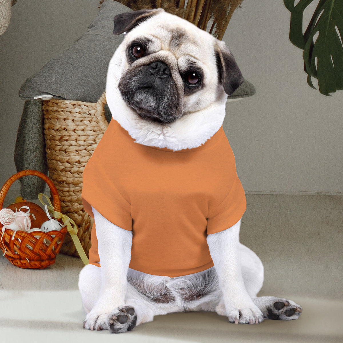 T-shirt personnalisé pour chien « Le petit chouchou de maman »